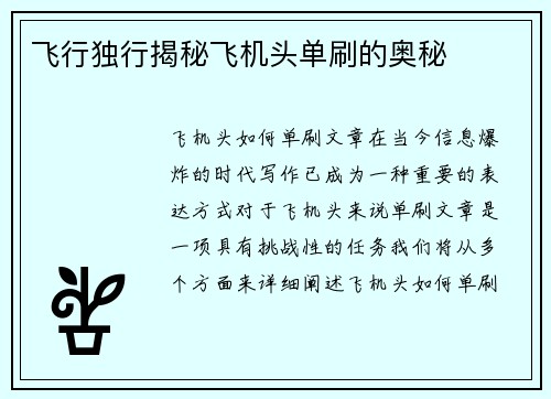 飞行独行揭秘飞机头单刷的奥秘